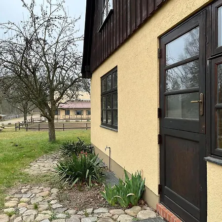 Monika In Im Bernstein Wendorf